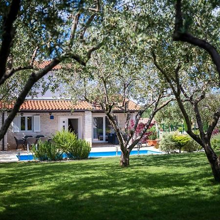 Вилла Casa Di Oliva Бртонигла Экстерьер фото